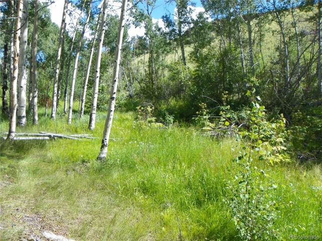 Land for sale in Saguache, Colorado