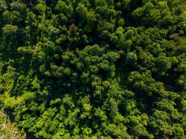 Land for sale in Tennessee