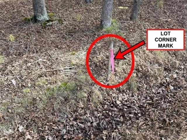 Land for sale in Virginia