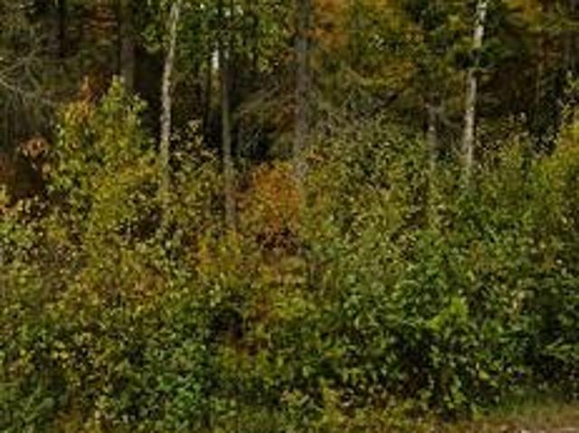 Land for sale in Powassan, Ontario