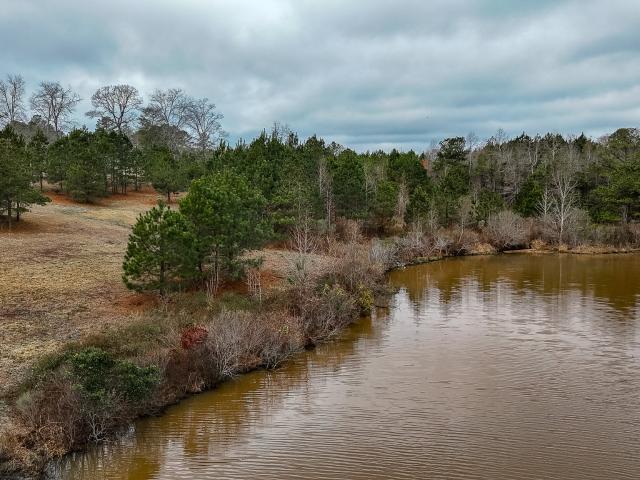 Land for sale in Americus, Georgia