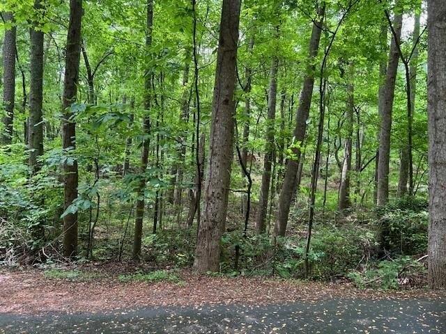 Land for sale in Marietta