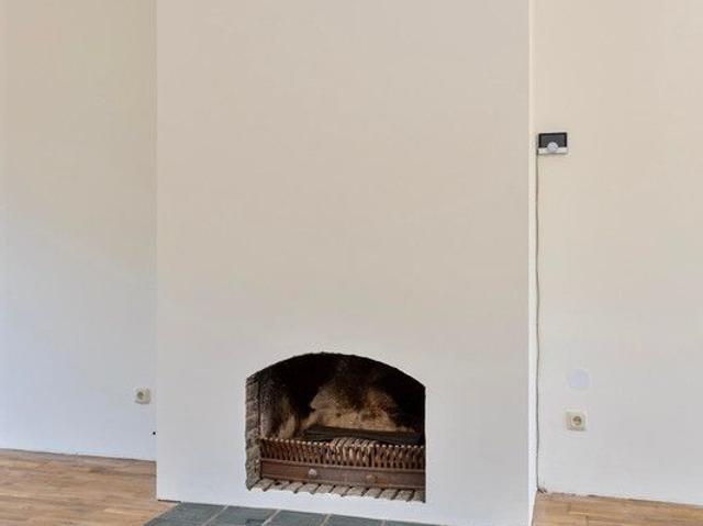 Woning te huur in Transvaalwijk, Leeuwarden