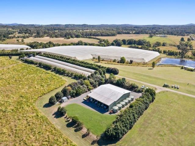 Land for sale in Traveston, Queensland