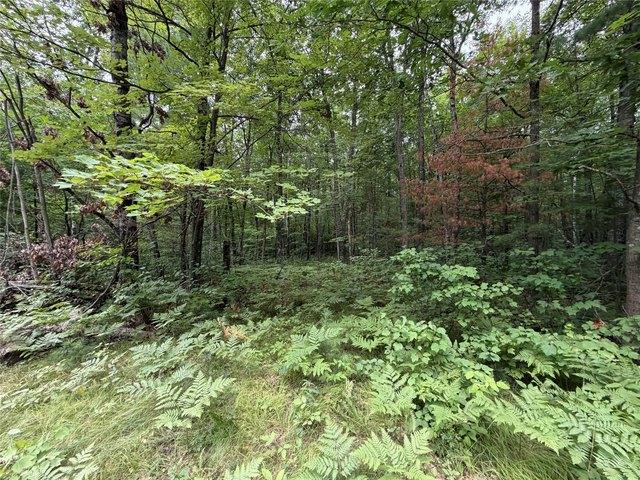 Land for sale in Sawyer, Wisconsin
