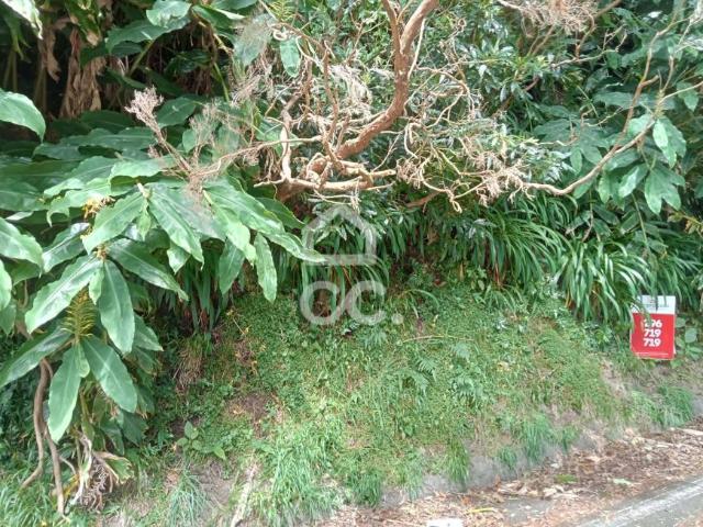 Terreno venda em Açores, Santo António De Nordestinho