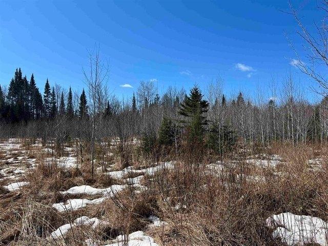 Land for sale in Iron River, Michigan