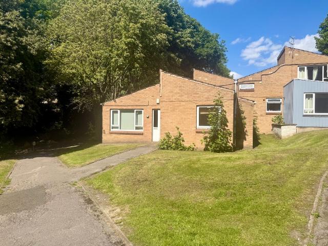 Room for rent in Park Hill, Sheffield