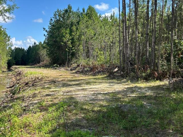 Land for sale in Gautier, Mississippi