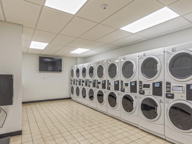 Apartment for rent in Manhattan Square, City of Rochester