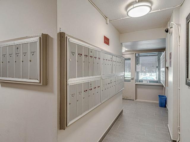 Apartment for rent in Kingston, Ontario