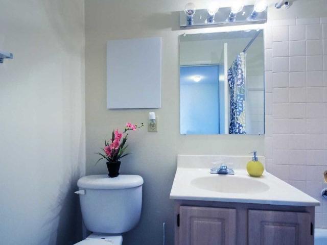 Apartment for rent in Florence, Kentucky
