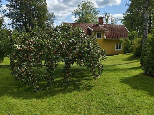 Hus hyra i Örebro