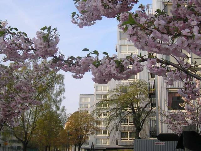 Lägenhet hyra i Borås, Västra Götaland