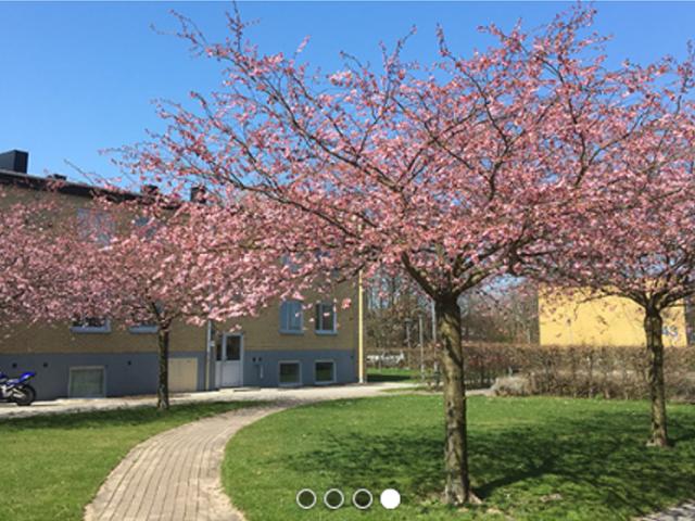 Lägenhet hyra i Vellinge, Skåne