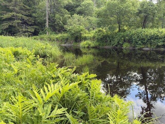 Land for sale in Fairfield, Maine
