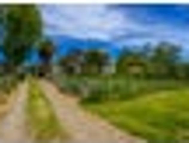 House for sale in Lower Norsewood, Ormondville