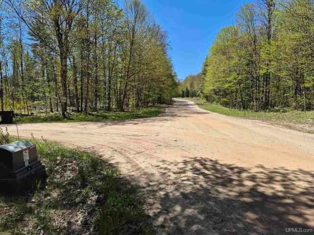 Land for sale in Au Train, Michigan