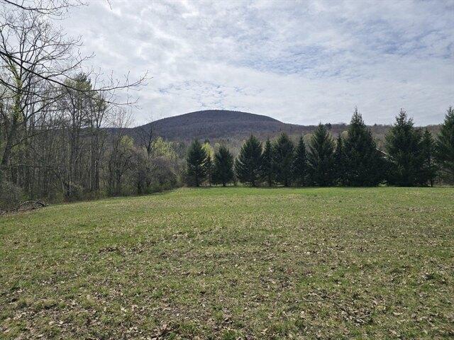 Land for sale in Berkshire, Massachusetts