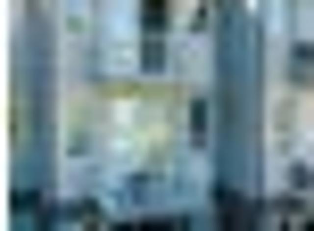 House for rent in Otakou