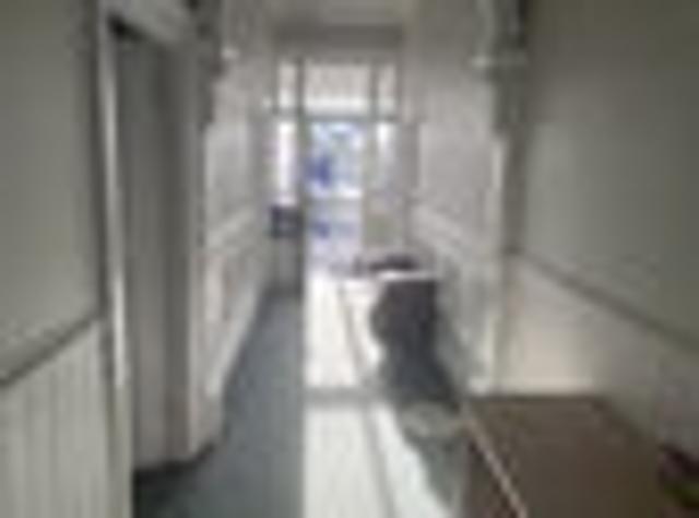 Apartment for rent in Otakou