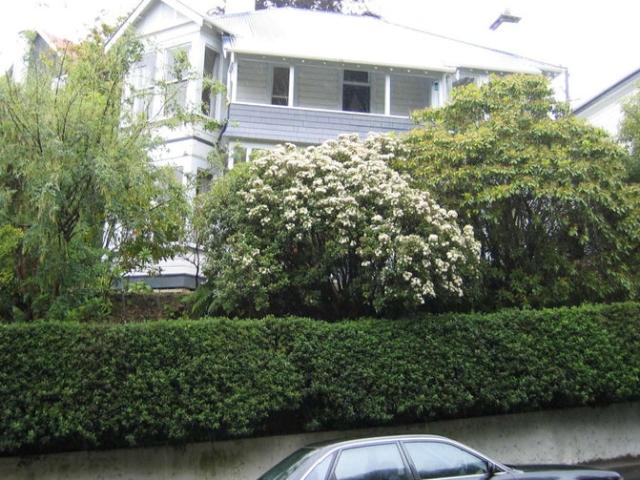 House for rent in Otakou