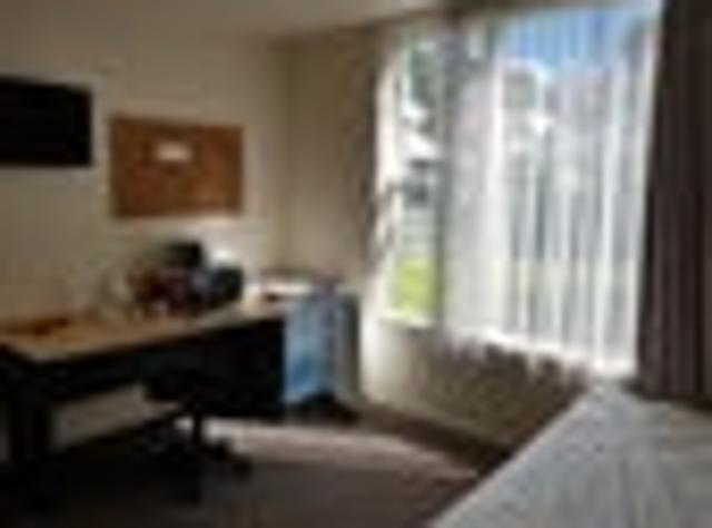 House for rent in Gardens, Dunedin