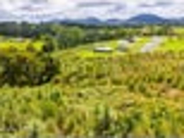 Land for sale in Kaiwaka, Northland