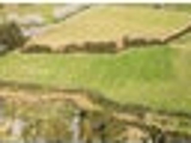 Land for sale in Kawau Island, Oroua County