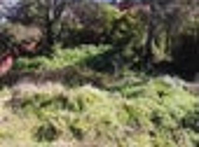 Land for sale in Otakou