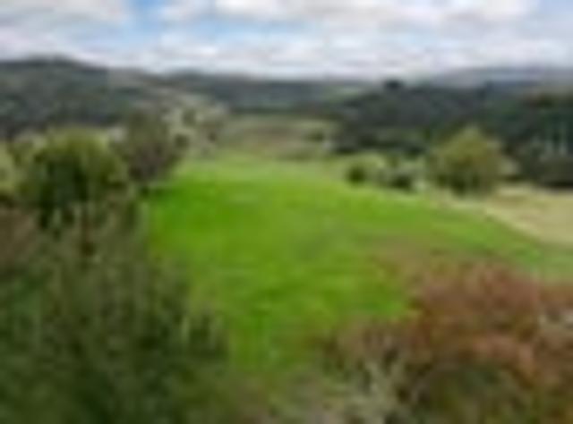 Land for sale in Waikato