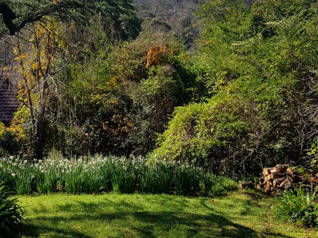 Property for sale in Leura, New South Wales