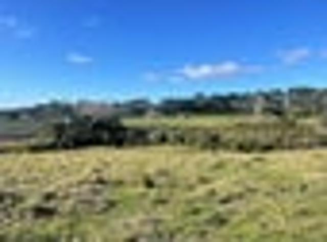 Land for sale in Kawau Island