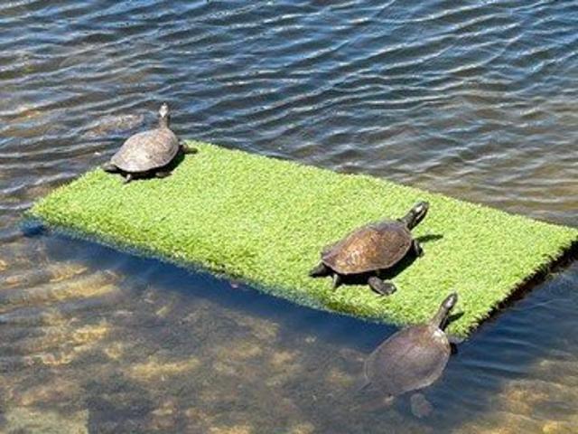 House for sale in Paradise Lake Resort, Gold Coast City