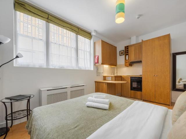Studio for rent in Somers Town, Greater London