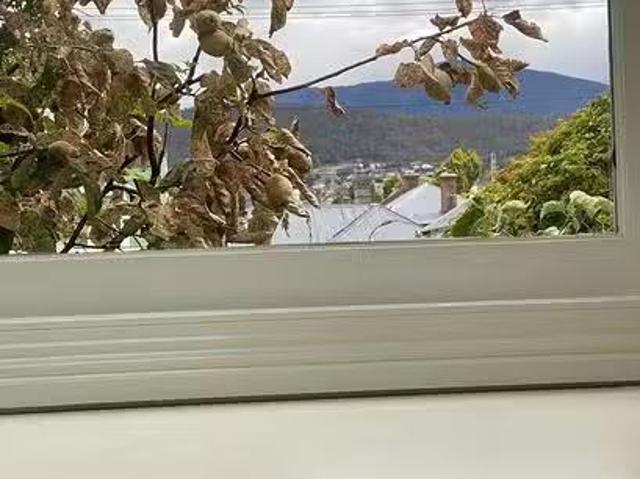 House for rent in North Hobart