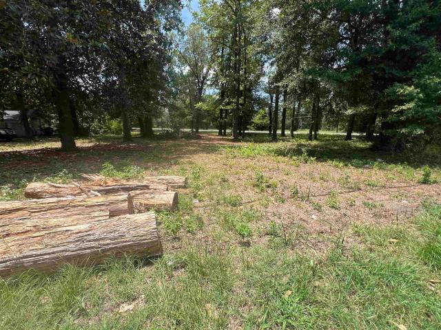 Land for sale in Kingstree, South Carolina