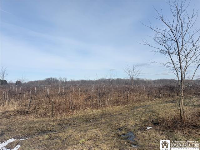 Land for sale in Portland, New York