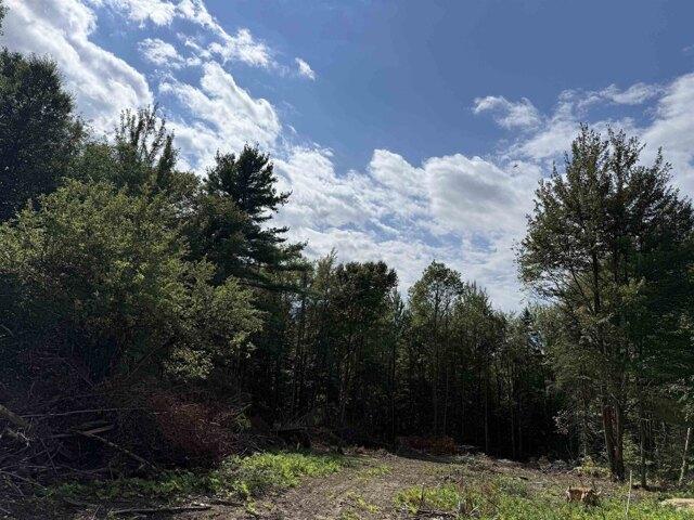 Land for sale in Eden, Vermont