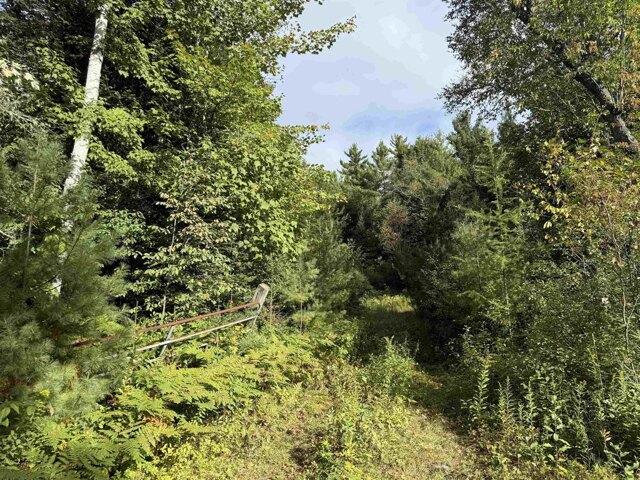 Land for sale in Guildhall, Essex County