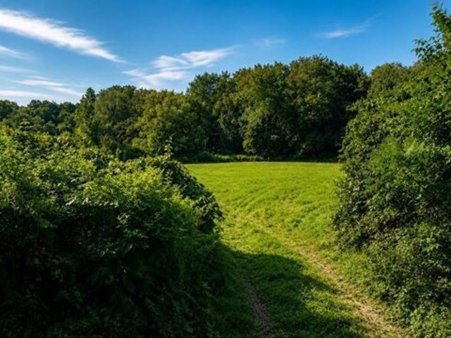Land for sale in Hardwick, Worcester County