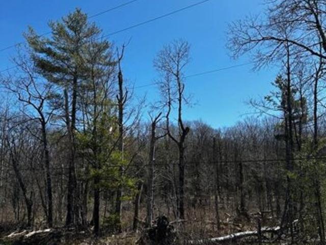 Land for sale in Jefferson Land for sale in Jefferson