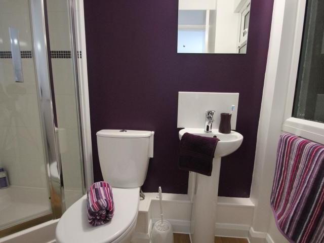 Studio for rent in Greenbank, Mount Wise