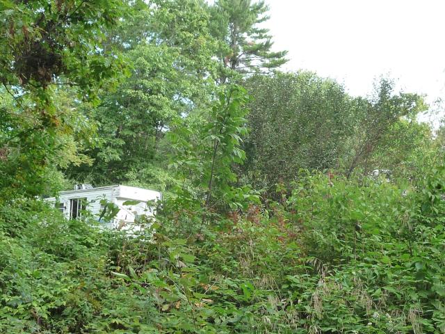 Land for sale in Deering, Hillsborough County