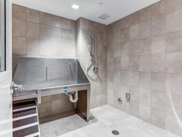 Apartment for rent in Amherst, Massachusetts