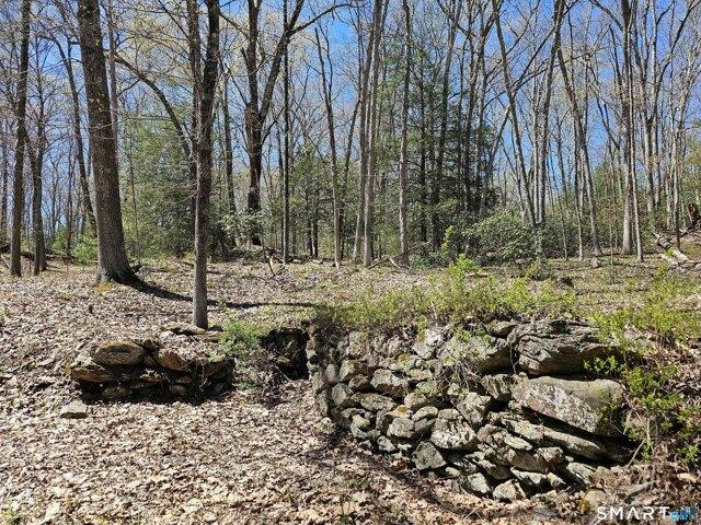 Land for sale in Roxbury, Connecticut
