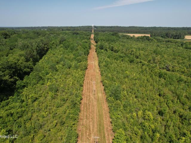 Land for sale in New Albany, Mississippi
