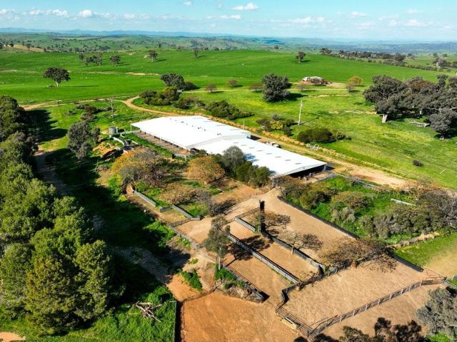 Cottage for sale in New South Wales