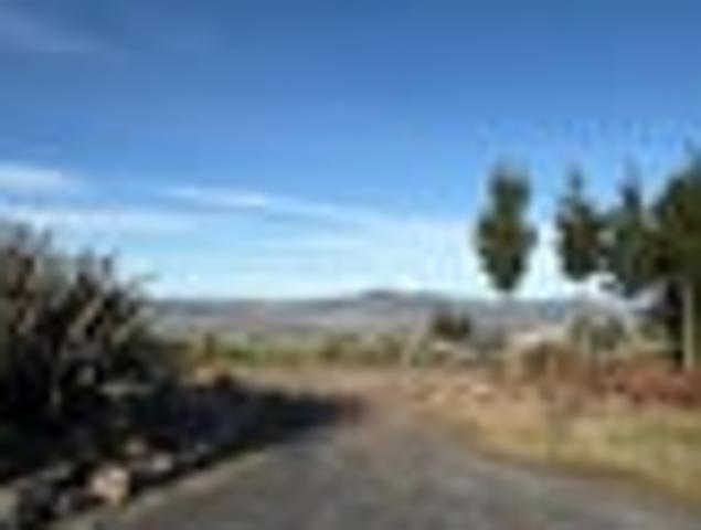 House for rent in Otakou