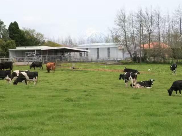 House for rent in Taranaki